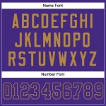 Authentic Football Custom Mesh Purple-Old Jersey Purple Gold