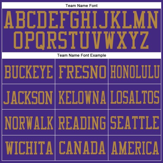 Authentic Football Custom Mesh Purple-Old Jersey Purple Gold