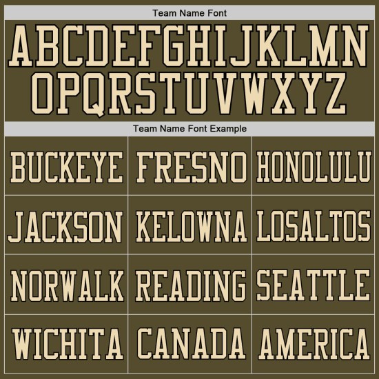 Football Mesh Authentic Jersey To Camo-Black Service Olive Custom Salute